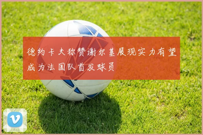 德约卡夫称赞谢尔基展现实力有望成为法国队首发球员