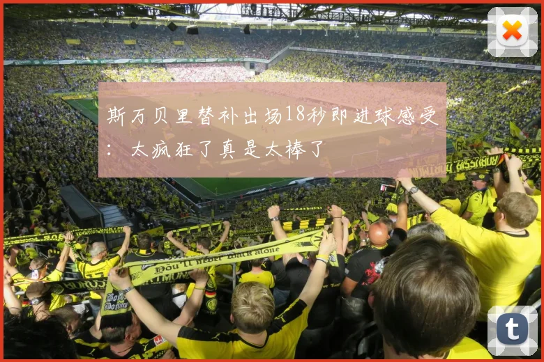 斯万贝里替补出场18秒即进球感受：太疯狂了真是太棒了