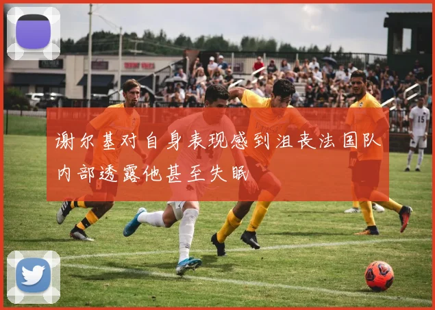 谢尔基对自身表现感到沮丧法国队内部透露他甚至失眠